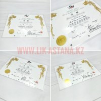 Диплом о присвоении черного пояса ламинированный разработка дизайна печать и изготовление на заказ