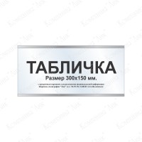 Табличка с карманом 300 х 150 мм. (цвет серебро)